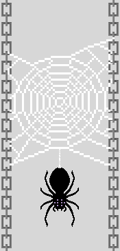A spider is building a web between two hanging columns of chains