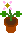 A flower in a pot
