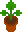 A leafy plant in a pot