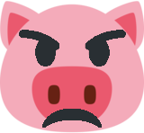 Pig scowling